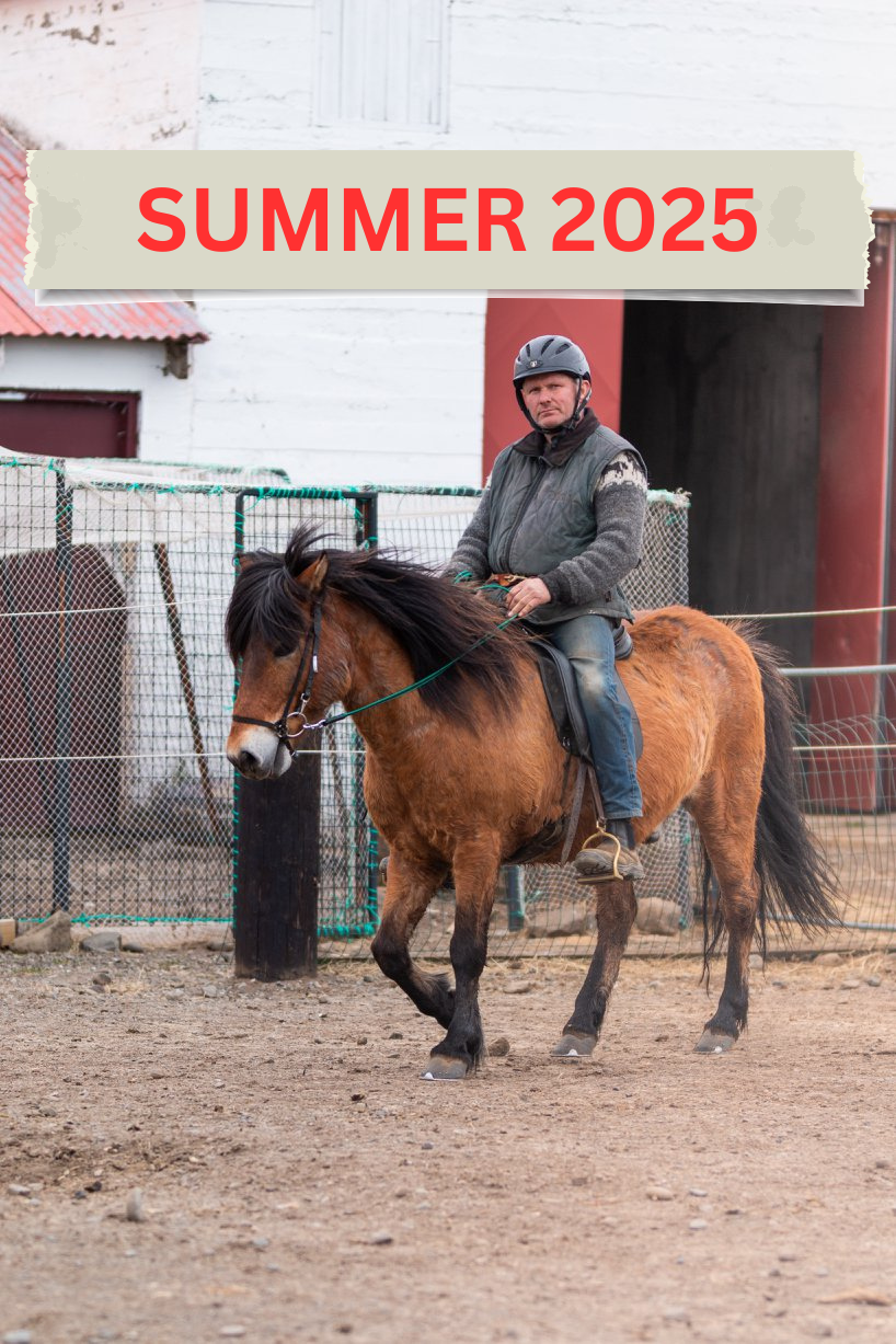 2,5 hours Horse Riding Private Tour - SUMMER TOURS 2025