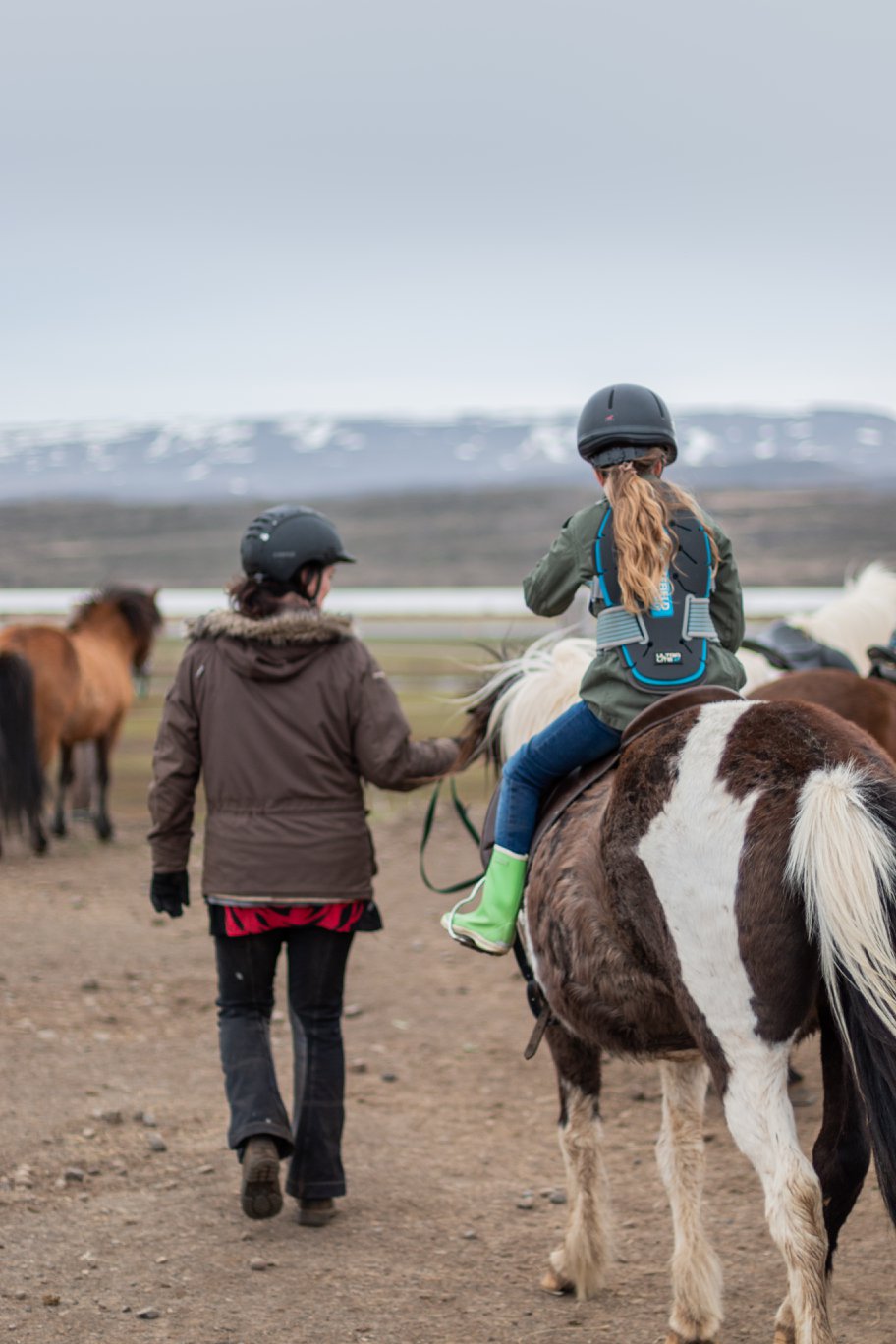 Paddock ride / Horse led by Guide