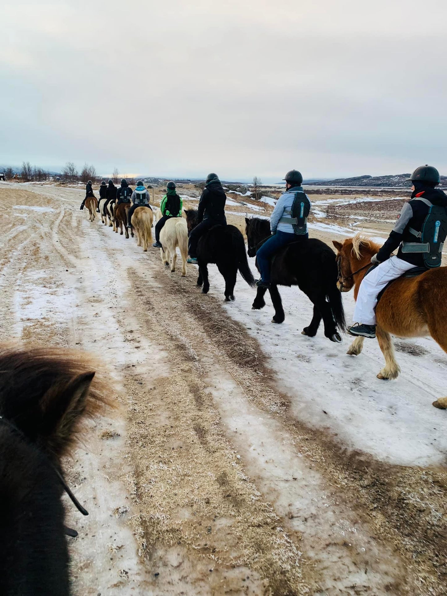 Winter Riding Tour - 1 hour