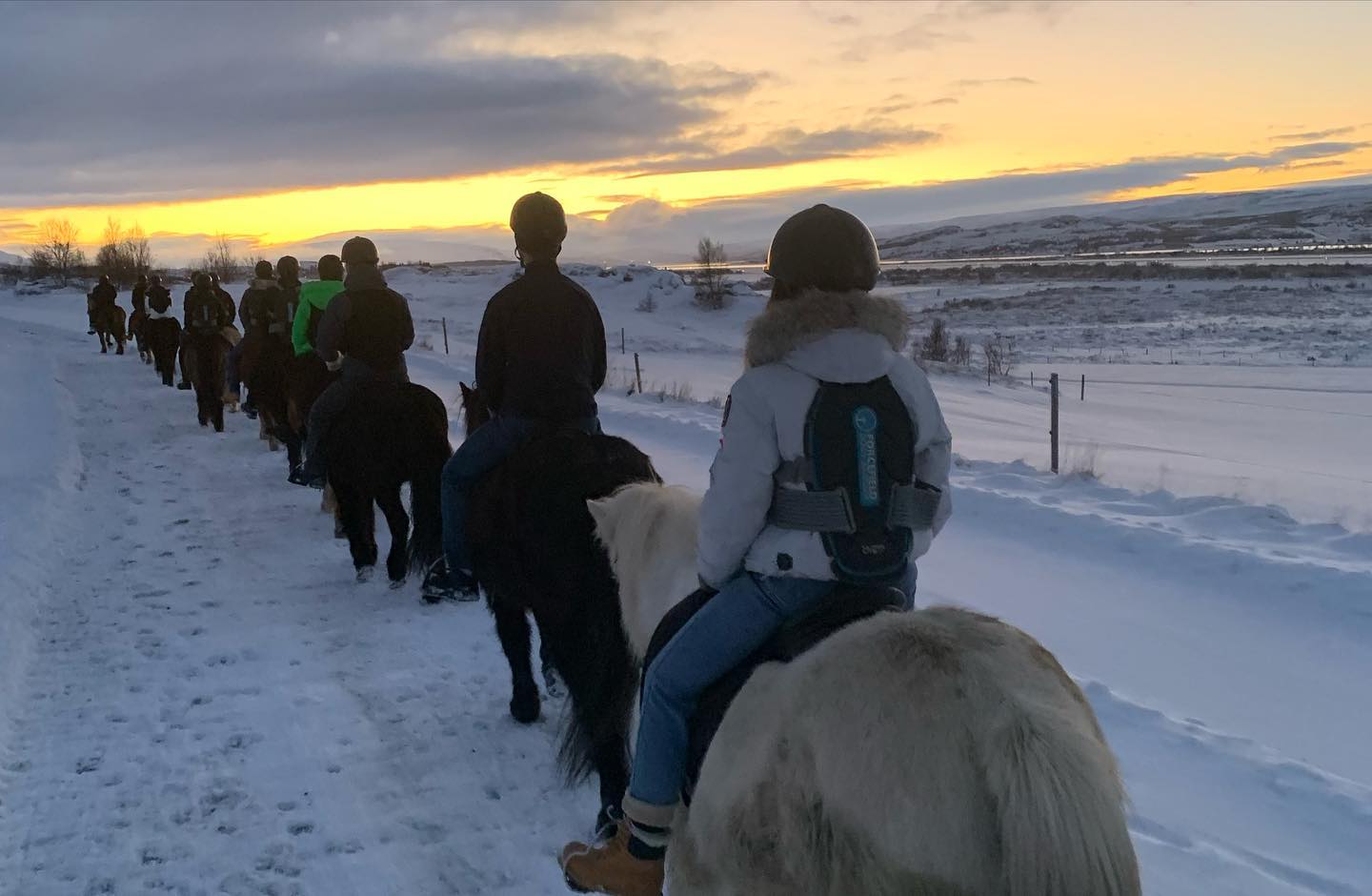 Winter Riding Tour - 1 hour