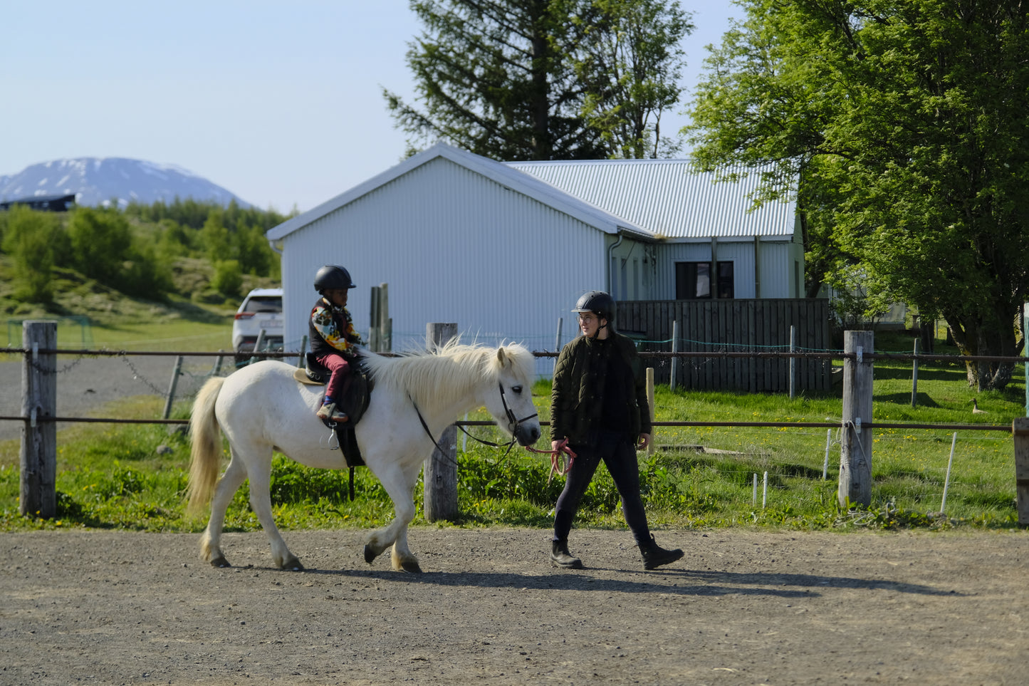 Guided Horse Stable Visit with Paddock ride