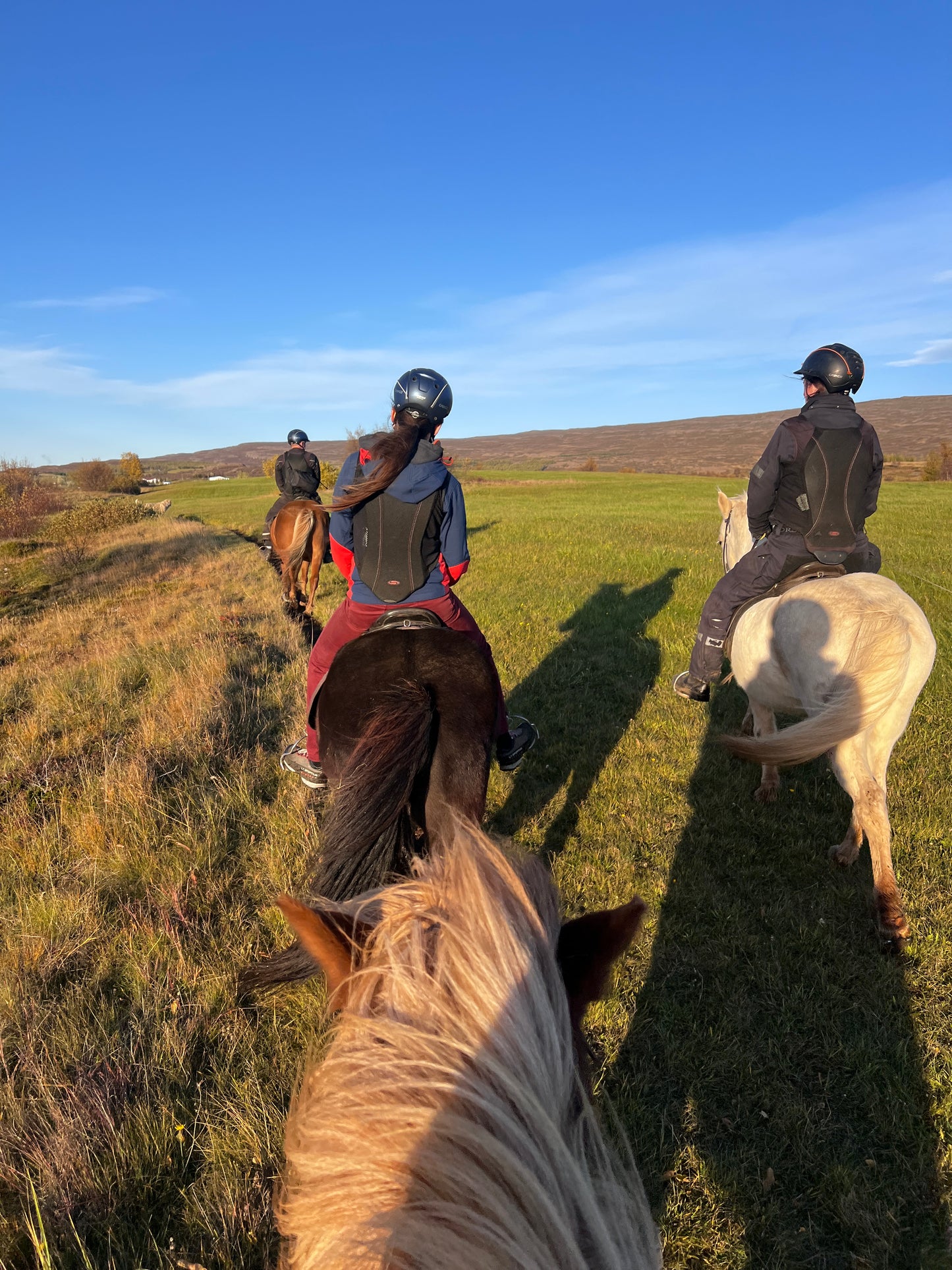 Discovery ride - 1,5 hours - Private Riding Tour