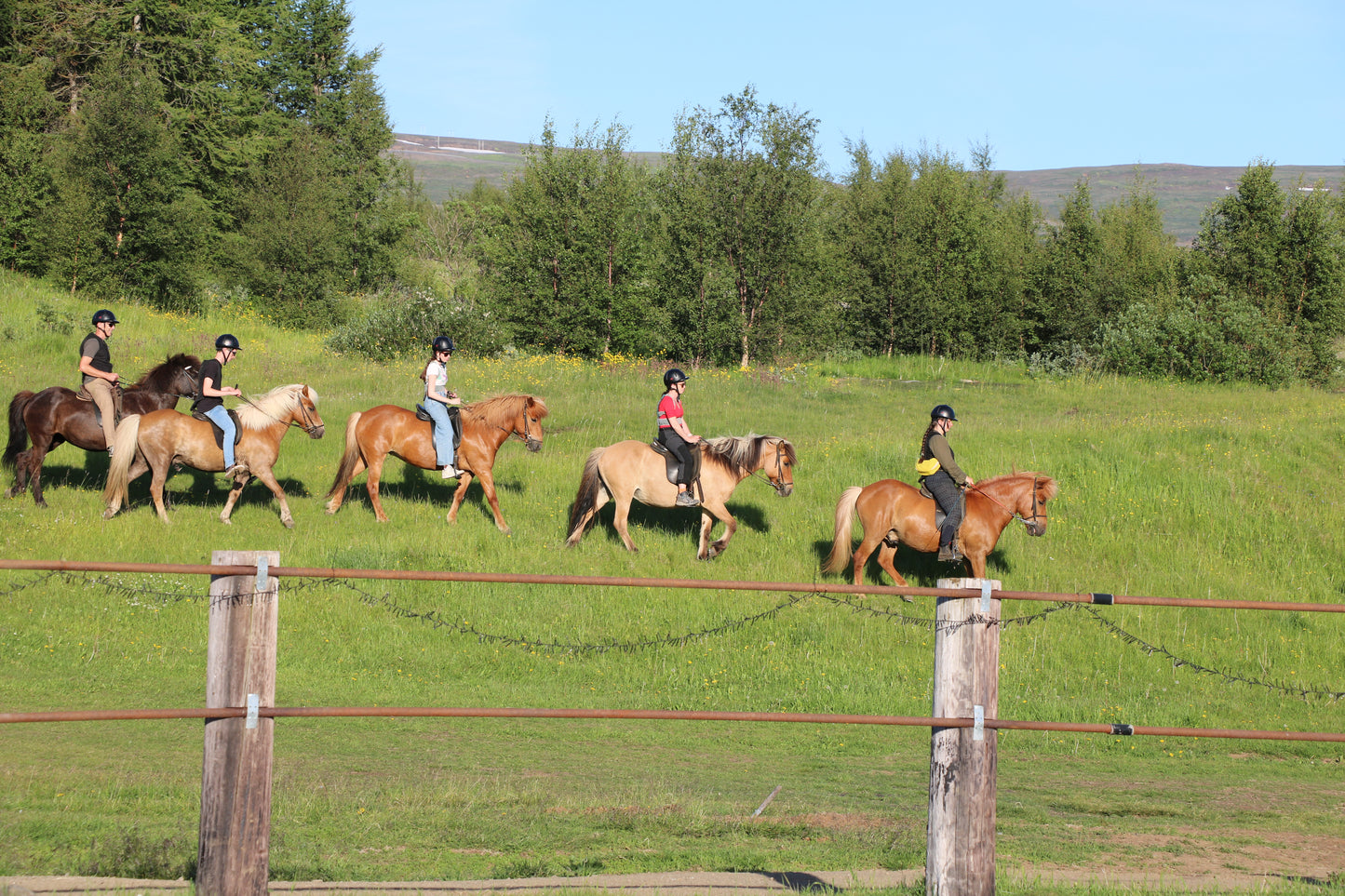 1 hour - Mixed riding tour