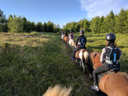 1 hour - Mixed riding tour