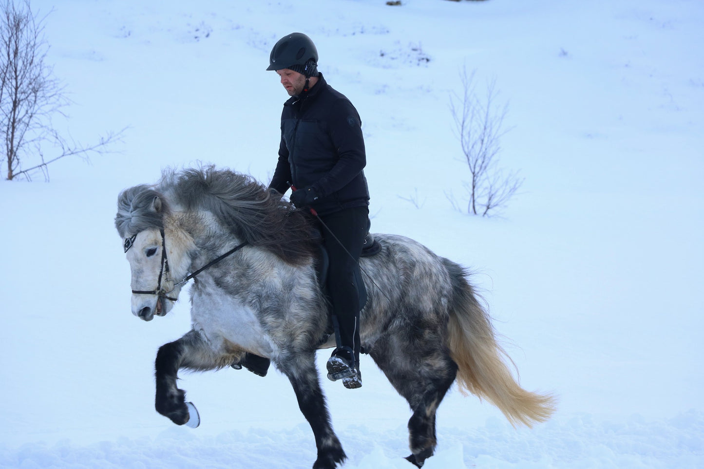 Private Riding Tour - 1 hour (Winter 25/26)