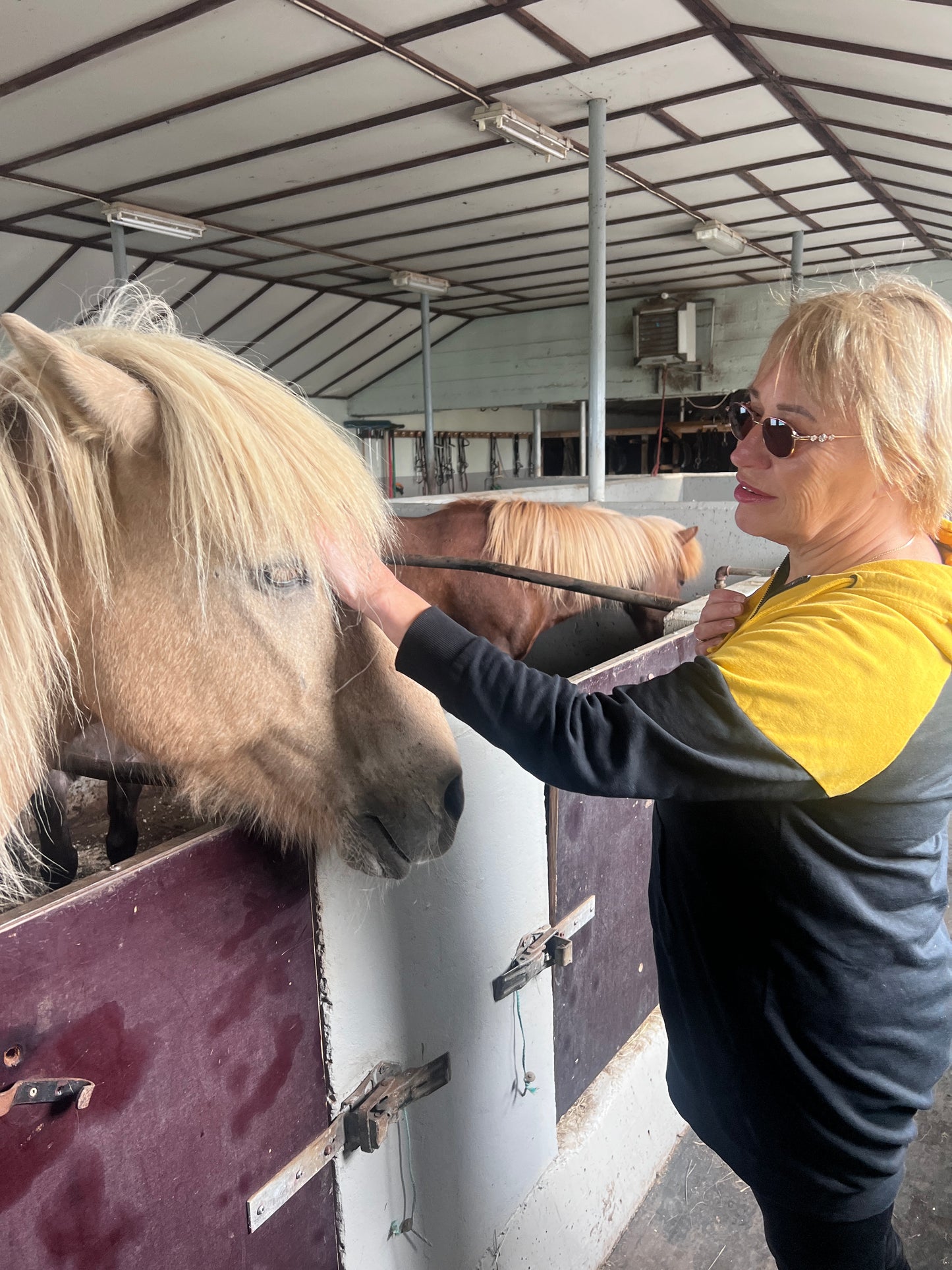 Guided Horse Stable Visit