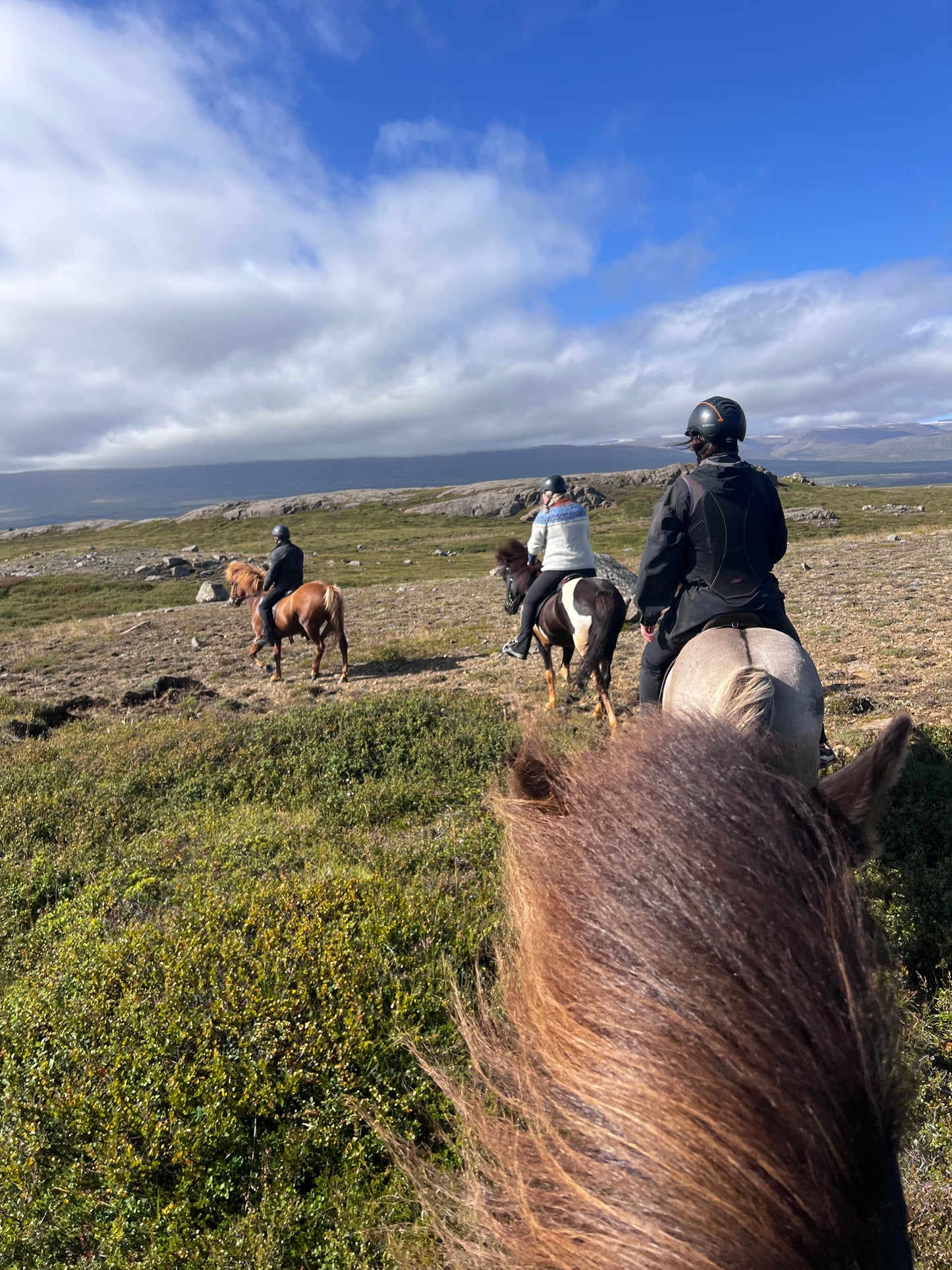 Legendary ride - 3,5 hours - Private Riding tours