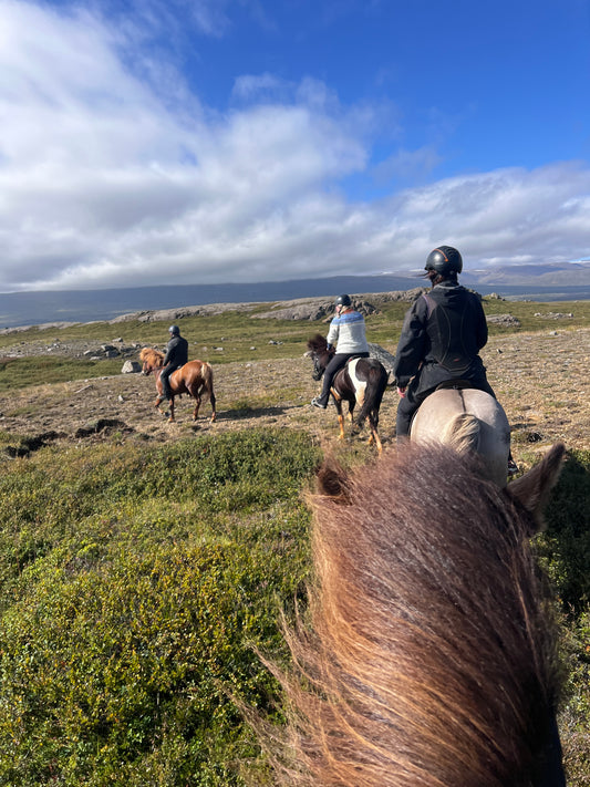 Legendary ride - 3,5 hours - Private Riding tours