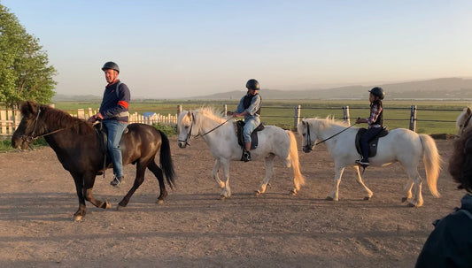 GALDRA HESTAR Hestanámskeið / Magic Horses Riding School - (Mánudag.- Miðvíkud./ Mon-Wed)